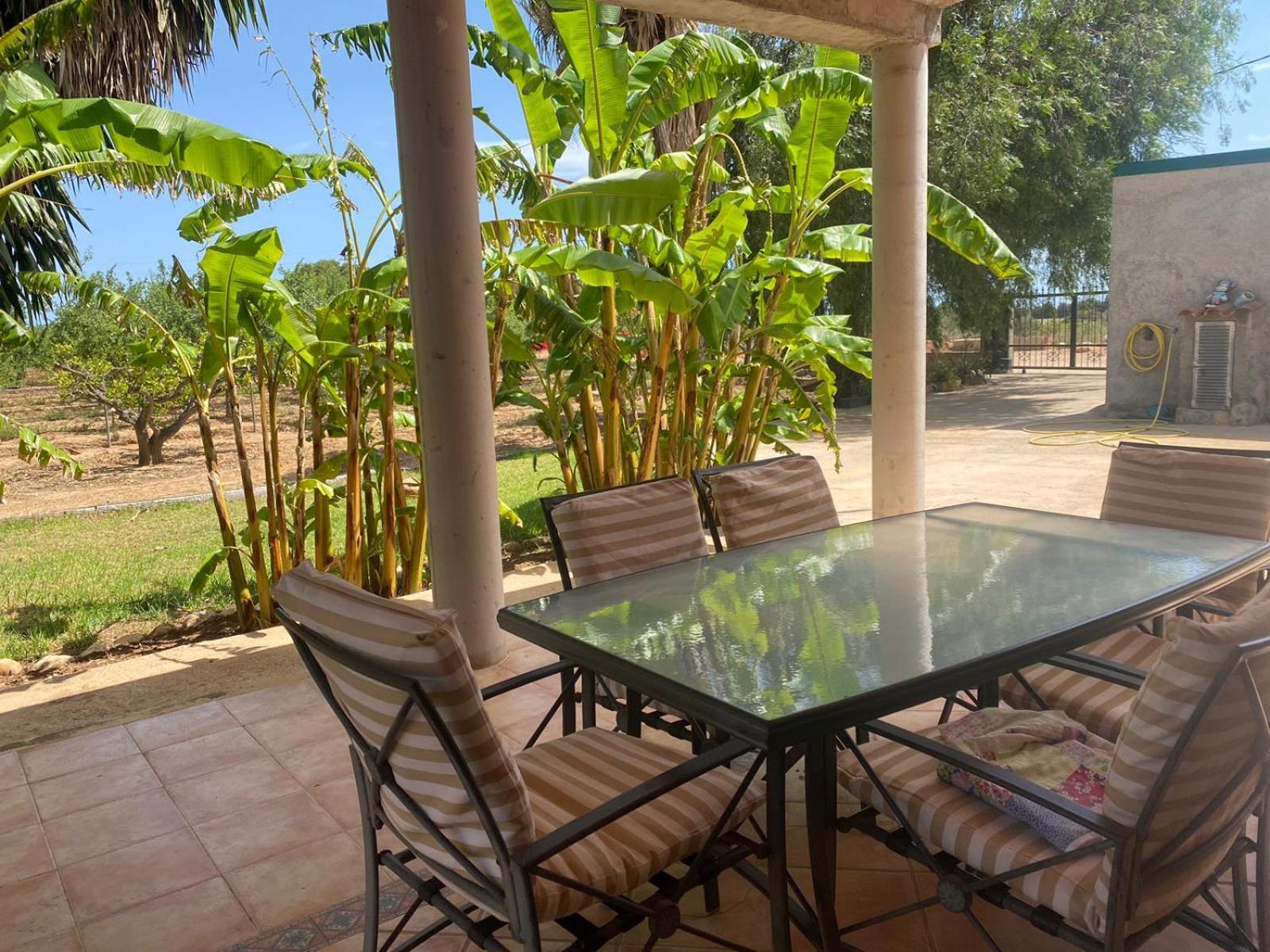 Los Almendros Torrenostra Ngoại thất bức ảnh