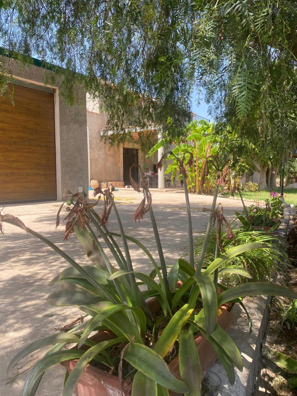 Los Almendros Torrenostra Ngoại thất bức ảnh